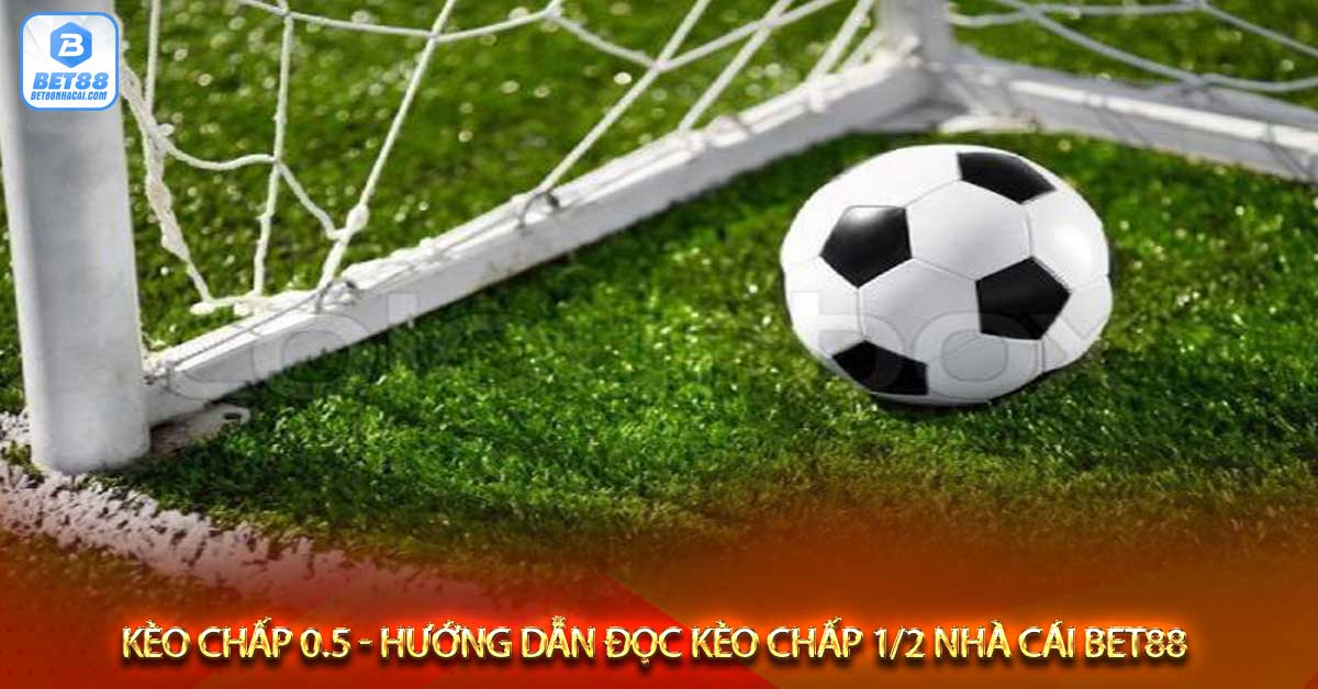 Ví dụ minh hoạ kèo 1/2 trái (chấp 0,5)